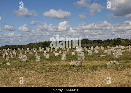 Alignements megalitici du Petit Menec monoliti preistorici Carnac Bretagna Francia Foto Stock