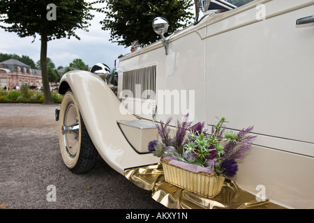 Packard convertibile coupé, 1929 USA, vintage car meeting, Schwetzingen, Baden-Wuerttemberg, Germania Foto Stock