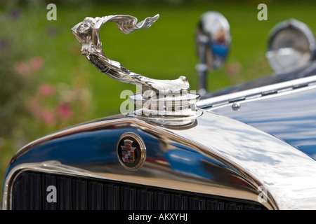 Cadillac 341 una berlina imperiale, USA 1928, vintage car meeting, Schwetzingen, Baden-Wuerttemberg, Germania Foto Stock