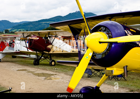 Biplani, l'Europa è un grande aereo vintage incontro sul Hahnweide, Kirchheim-Teck, Baden Wuerttemberg, Germania Foto Stock