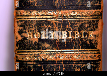 La Santa Bibbia titolo della colonna vertebrale; King James Version Foto Stock