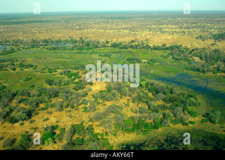Vista aerea del delta dell'Okavango, Botswana Foto Stock