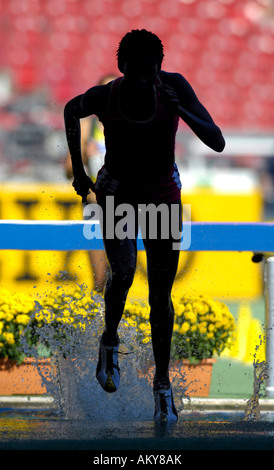 Campionati mondiali di atletica di Stoccarda finale 2007, Baden-Wuerttemberg, Germania 3000 m Siepi Foto Stock