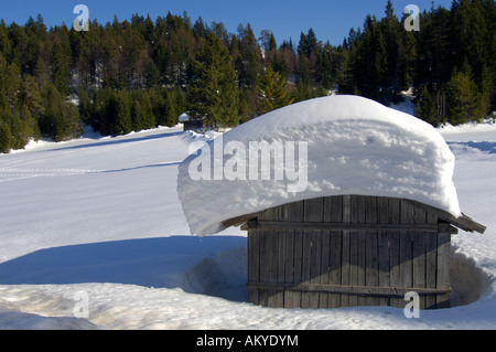 Woodrick nel paesaggio innevato, Leutasch, Tirolo, Austria Foto Stock