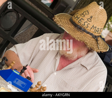 Il Chessmaster si concentra sul suo gioco in Harvard Square, Cambridge Massachusetts USA Foto Stock