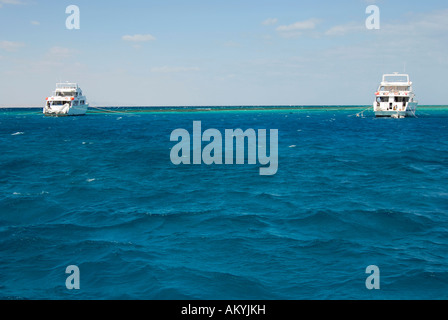 La balneazione resort Hurghada presso il Mar Rosso. Yachts ancoraggio sul reef del corral. Essi hanno portato i subacquei al reef, Hurghada, Egitto Foto Stock