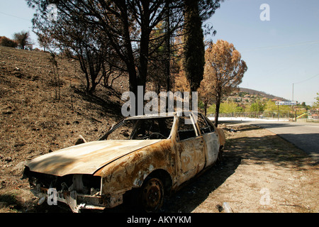 Grecia quattro settimane dopo l'incendio del Peloponneso. Un bruciato auto sulla strada tra Krestena Andritsaina e. Peloponneso, Grecia Foto Stock