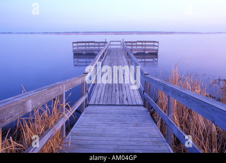Dock presso il Lago dei boschi a Zippel Bay State Park Minnesota Foto Stock