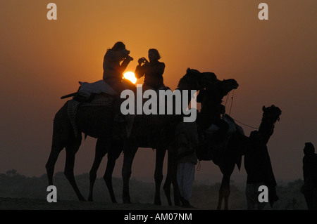 Le donne sui cammelli si stagliano contro il Rising Sun nelle dune del grande deserto di Thar al di fuori di Manvar, Rajasthan, India Foto Stock