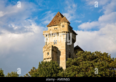 Castello Liechtenstein Maria Enzersdorf Moedling Austria Bassa Austria Foto Stock