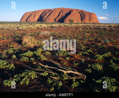 AUSTRALIA Territorio del Nord Kata Tjuta National Park Foto Stock