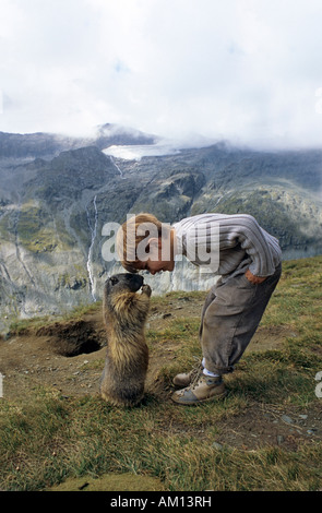 Alpine marmotta (Marmota marmota), sfrontato marmotte essendo alimentato da un bambino. Foto Stock