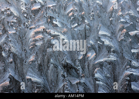 Tracery su un vetro smerigliato vetro di un auto - modelli di brina Foto Stock