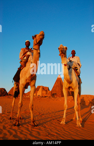 Nomads sui cammelli davanti alle piramidi di Meroe, Meroe, Sudan Foto Stock