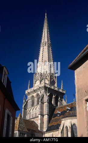 Ago di pietra la guglia della Cattedrale di St Lazare costruito 1120 - 1178 (spire aggiunto 1436 - 1483), Autun, Saône et Loire, Francia Foto Stock