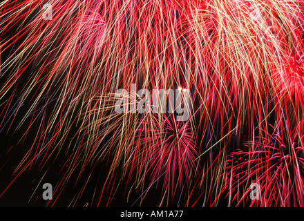 Fuochi d'artificio che esplodono nel cielo notturno Foto Stock