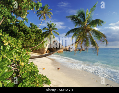 Anse Source d Argent su La Digue Island alle Seychelles Foto Stock