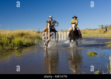 Cowgirl e cowboy a cavallo in acqua, Oregon, Stati Uniti d'America Foto Stock