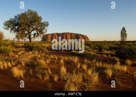 Ayers Rock, chiamato Uluru, magic rock degli aborigeni, Yulara, Ayers Rock, Territori del Nord, Australien, Australia Foto Stock