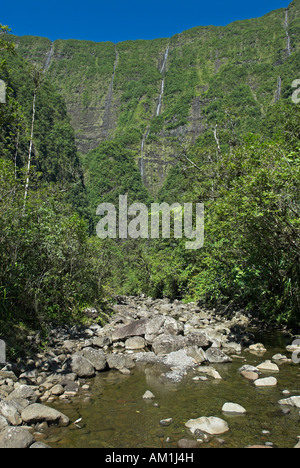 Brook e cascate nella valle del Grand Etang, La Reunion Island, Francia, Africa Foto Stock