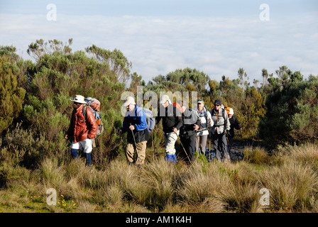 Un gruppo di appassionati di trekking con guida locale su un sentiero nella brughiera Monte Kenya Parco Nazionale del Kenya Foto Stock