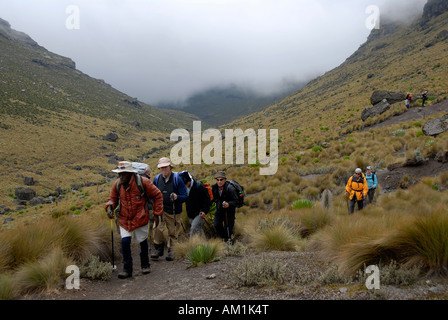 Un gruppo di appassionati di trekking con guida locale su un sentiero nella fen paesaggio Monte Kenya Parco Nazionale del Kenya Foto Stock