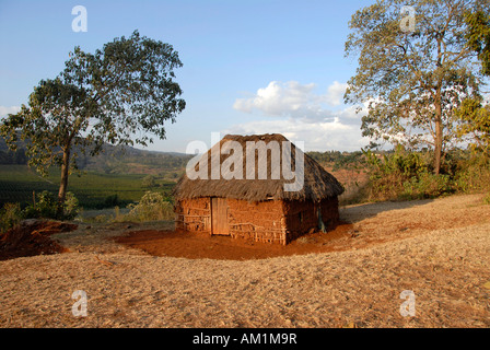 Primitiva capanna fatta di rami di argilla e paglia vicino a Karatu Tanzania Foto Stock