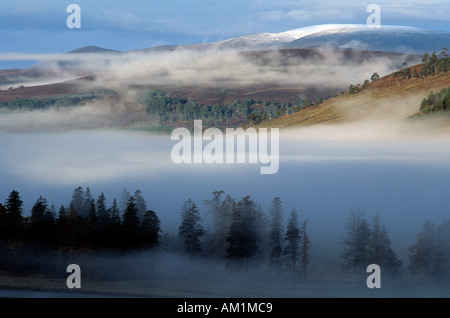 Meteo strato di inversione oltre il fiume Dee valley catchement superiore area, a Mar Lodge Estate, Royal Deeside, Cairngorm National Park, Scotland, Regno Unito Foto Stock