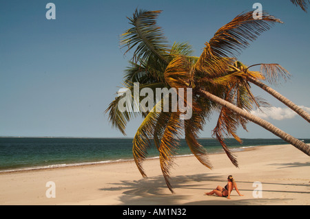 Un turista femminile sunbathes sotto una palma su una spiaggia isolata. Linga Linga, Mozambico, Africa Foto Stock