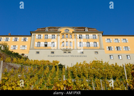 National azienda vinicola Meersburg, Lago di Costanza, Baden-Wuerttemberg, Germania, Europa. Foto Stock