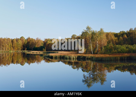 Red Moor, Rhoen, Hesse, Germania Foto Stock