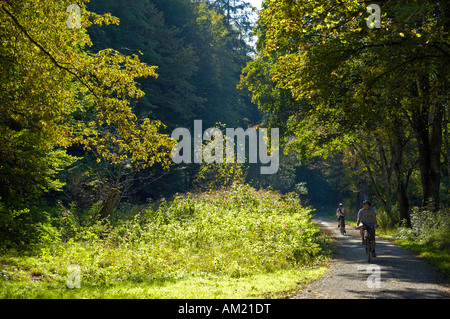 Schaichtal, Schoenbuch, Baden-Wuerttemberg, Germania, Europa Foto Stock