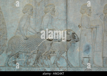 Schiavi e soldati che portano doni per il persiano Imperatore nel Palazzo Xerxes PERSEPOLIS Iran Foto Stock