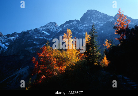 Mnich ( Monaco ) polacco di picco dei monti Tatra in autunno , occhio del mare ( Morskie Oko ) dintorni del lago Foto Stock