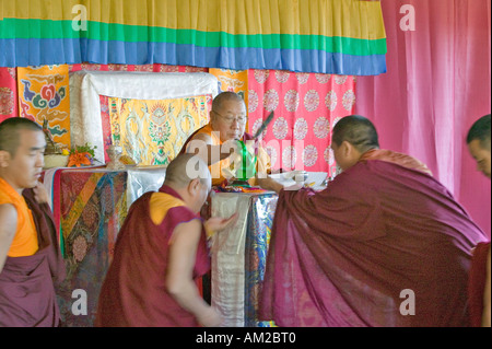 HH Penor Rinpoce nato tibetano capo supremo del Buddismo Nyingmapa offre Amitabha Empowerment per i monaci buddisti in meditazione Foto Stock