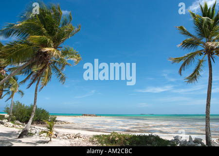 Spiaggia da piccola speranza Bay Lodge, fresche Creek, Andros, Bahamas, dei Caraibi Foto Stock