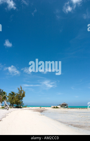 Spiaggia da piccola speranza Bay Lodge, fresche Creek, Andros, Bahamas, dei Caraibi Foto Stock