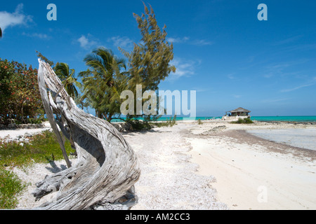 Spiaggia da piccola speranza Bay Lodge, fresche Creek, Andros, Bahamas, dei Caraibi Foto Stock