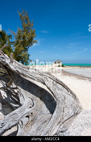 Spiaggia da piccola speranza Bay Lodge, fresche Creek, Andros, Bahamas, dei Caraibi Foto Stock