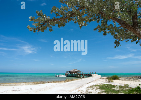 Spiaggia da piccola speranza Bay Lodge, fresche Creek, Andros, Bahamas, dei Caraibi Foto Stock