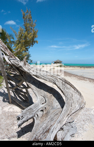 Spiaggia da piccola speranza Bay Lodge, fresche Creek, Andros, Bahamas, dei Caraibi Foto Stock