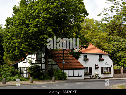 Casa Bianca e albero sulla piegatura della strada, Germania. Foto Stock