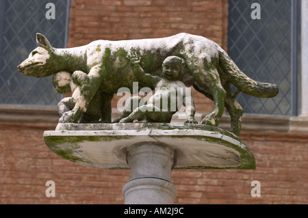 Statua di Romolo e Remo e la lupa in Siena Toscana Italia Foto Stock