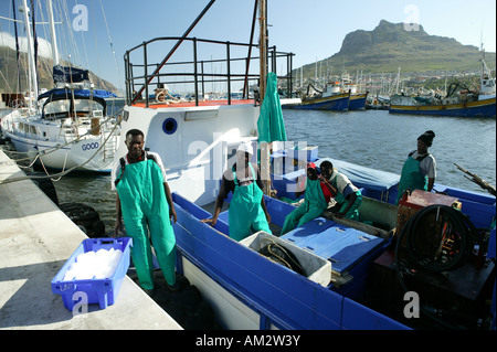 I pescatori in alto mare trawler, ghiaccio pesce, Hout Bay, Città del Capo, West Cape, Sud Africa Foto Stock