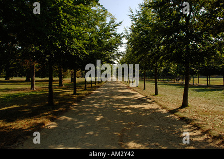 Avenue du Trianon nel parco del Castello di Versailles, Parigi, Francia, Europa Foto Stock