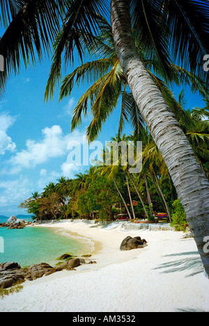 Un Tailandese classica vista mare - palme, sabbia color argento e blu mare verde - Koh Samui, Thailandia Foto Stock