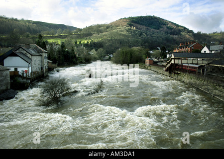 Fiume Dee nel diluvio a Llangollen Denbighshire North Wales Regno Unito Europa Foto Stock