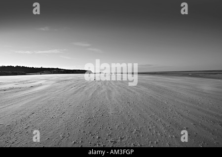 Tempesta di sabbia sui pozzetti accanto il mare NORFOLK REGNO UNITO in mono Foto Stock