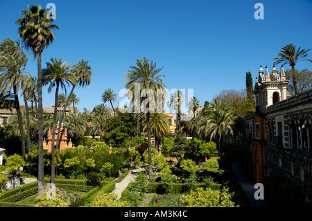 Jardines de las Reales Alcazares / Alcazar giardini, Siviglia, Spagna Foto Stock