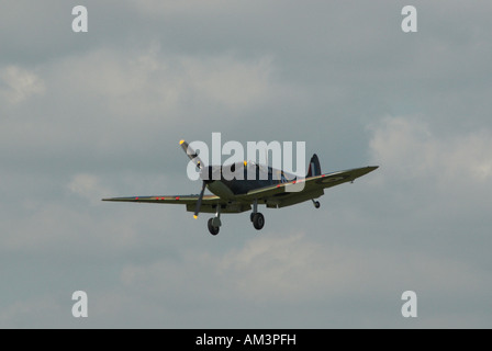 Spitfire P7350, un MkIIa, della Battaglia di Bretagna Memorial Volo a Shoreham Airshow 2007. Foto Stock